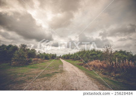 Long nature trail in cloudy weather 25628484