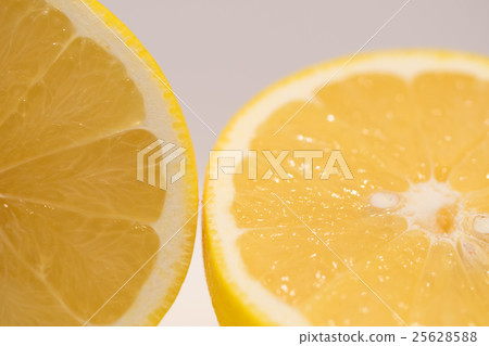 grapefruit  25628588