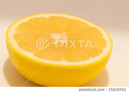 grapefruit  25628592