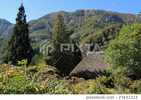 Akiyamago in early autumn 25632323