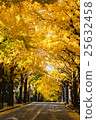 Gingko lined tree in Denen-chouhou 25632458
