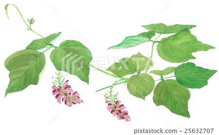 Scrap 1 Scrap 1 25632707