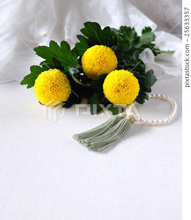 Poppon chrysanthemum and pearl beads Poppon chrysanthemum and pearl beads 25633357