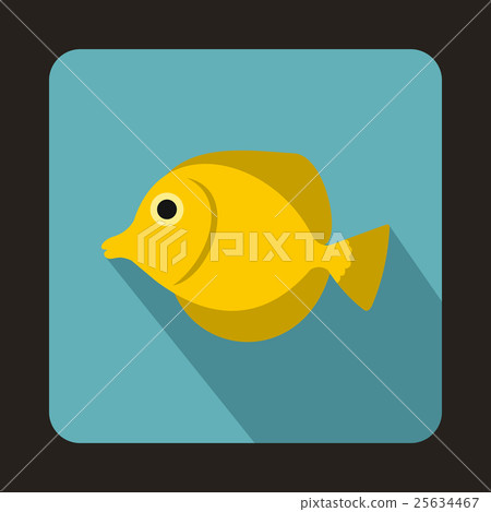 Yellow Tang fish, Zebrasoma flavescens icon 25634467