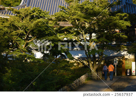Foreigner who visits the Nobunaga in the North Kamakura evening 25637937