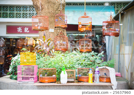 Bird for sale in Yuen Po Street bird garden 25637960