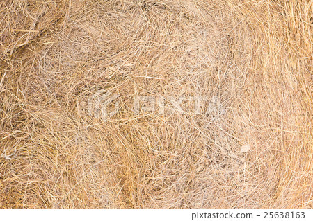 Texture of dry straw Texture of dry straw 25638163