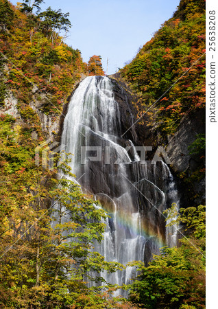 Anh Taki Akita ken Anh Taki Akita ken 25638208