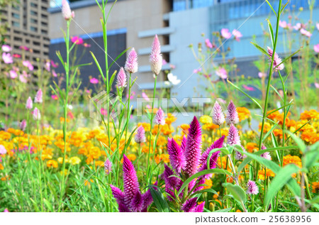 大阪梅田的風景 25638956