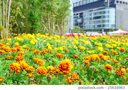 大阪梅田的風景 大阪梅田的風景 25638963