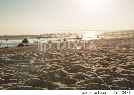 baltic sea coast beach in summer day baltic sea coast beach in summer day 25640486