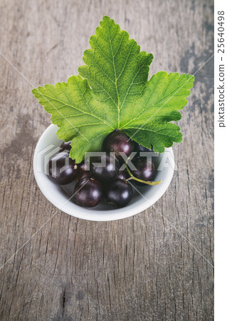 black currant in a white bowl black currant in a white bowl 25640498