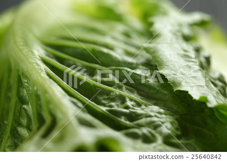 fresh romain green salad close up fresh romain green salad close up 25640842