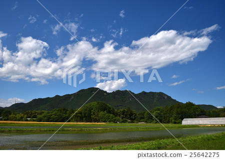 Koga Shoshan early summer 25642275