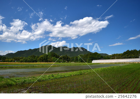 Dragonfly and Kogasoshiyama 25642276