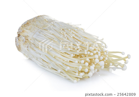 Enoki mushroom, Golden needle mushroom Enoki mushroom, Golden needle mushroom 25642809
