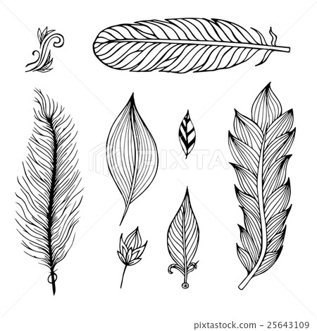 Set of hand drawn feathers. Vector illustration. Set of hand drawn feathers. Vector illustration. 25643109