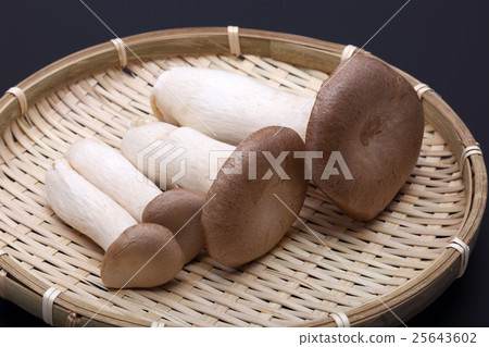 杏鮑菇 杏鮑菇 25643602