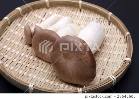 杏鮑菇 杏鮑菇 25643603