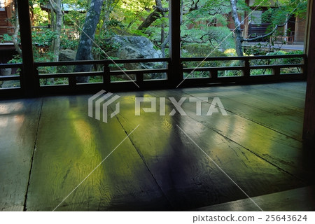 Floor maple leaves 25643624