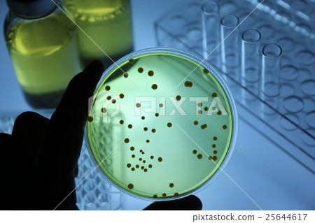 Research image Microorganism test 25644617