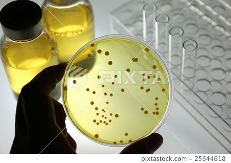 Research image Microorganism test Research image Microorganism test 25644618