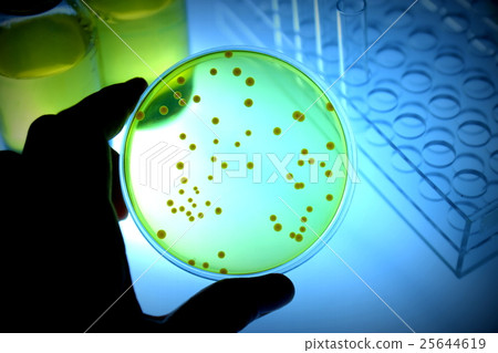研究圖像微生物測試 25644619