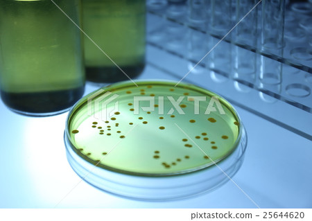 研究圖像微生物測試 研究圖像微生物測試 25644620
