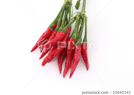  紅辣椒 25645141