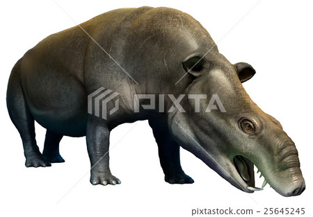Moeritherium 25645245