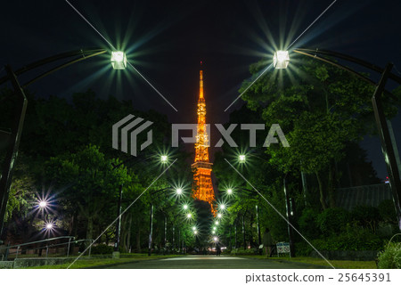 東京鐵塔和晚上風景和東京中心夜視圖 東京鐵塔和晚上風景和東京中心夜視圖 25645391