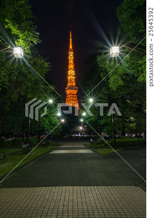 東京鐵塔和晚上風景和東京中心夜視圖 東京鐵塔和晚上風景和東京中心夜視圖 25645392