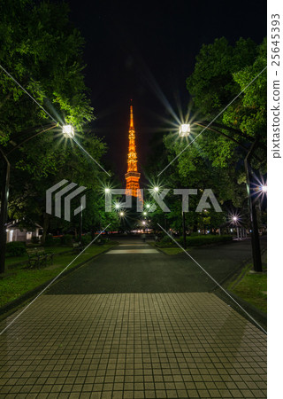 Tokyo Tower and evening landscape and night view of Tokyo center Tokyo Tower and evening landscape and night view of Tokyo center 25645393