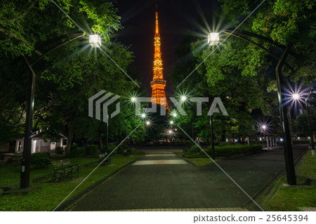 Tokyo Tower and evening landscape and night view of Tokyo center 25645394