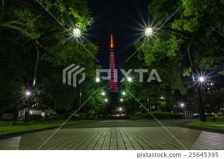 東京鐵塔和晚上風景和東京中心夜視圖 25645395