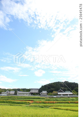 全視圖Taki-dera在秋天 25645478