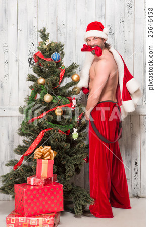 Bad Santa Clause Bad Santa Clause 25646458