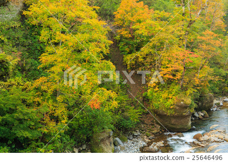 Autumn leaves of the Okumohana valley 25646496