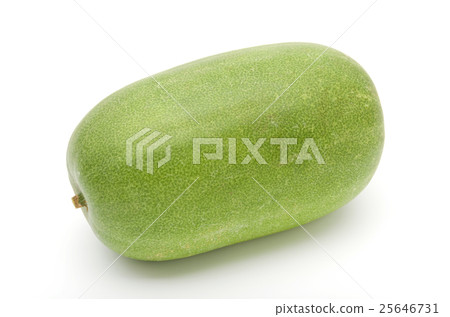 迷你冬瓜 25646731