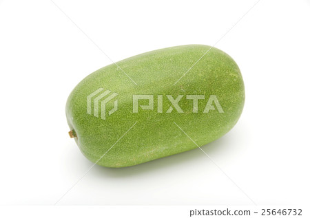 迷你冬瓜 25646732