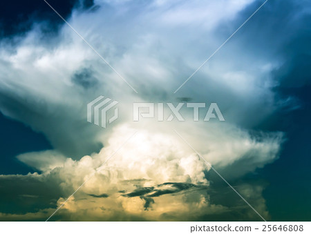 sky 25646808
