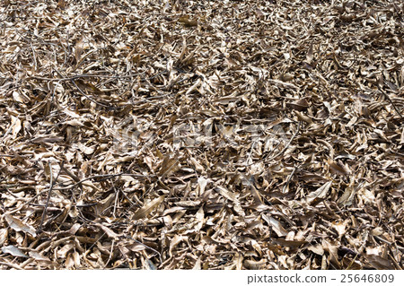 nature 25646809
