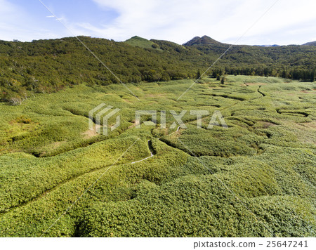 Niseko Otani Marshland航空照片 Niseko Otani Marshland航空照片 25647241