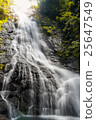 Amazing beautiful waterfalls in autumn forest 25647549