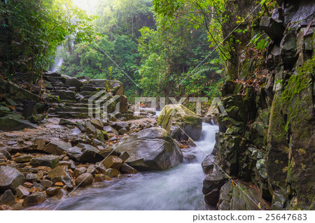 Amazing beautiful waterfalls in deep forest 25647683