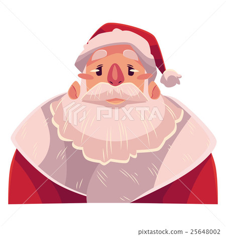 Santa Claus face, upset, confused facial 25648002