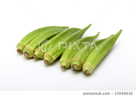 黃秋葵 黃秋葵 25648016