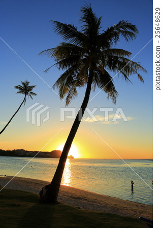 關島杜夢海灘 關島杜夢海灘 25648629