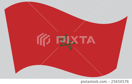Flag of Morocco waving on gray background 25650576