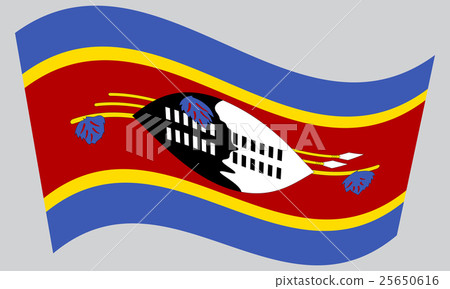 Flag of Swaziland waving on gray background 25650616